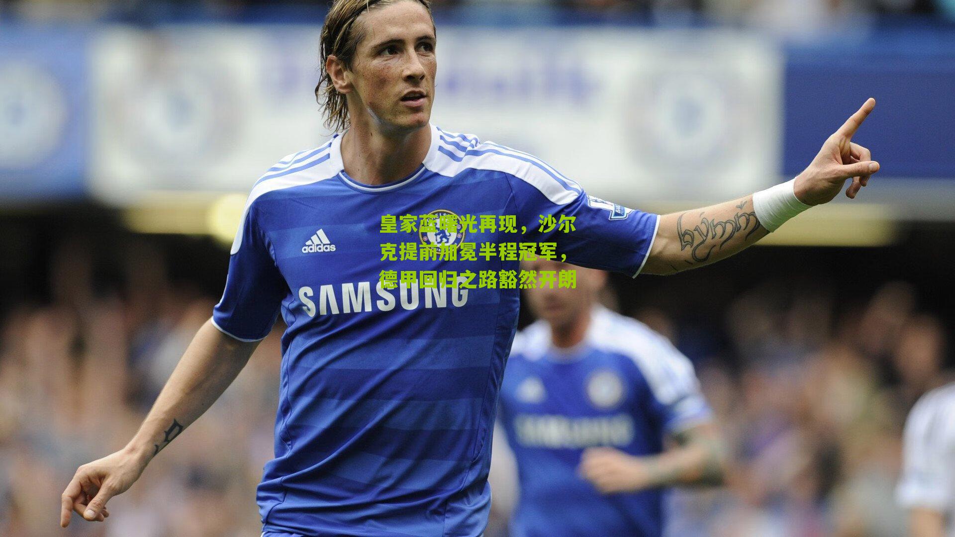 皇家蓝曙光再现，沙尔克提前加冕半程冠军，德甲回归之路豁然开朗